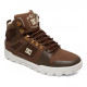 Chaussures Homme PURE HIGH TOP WR DC