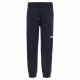 Pantalon Homme NSE The North Face