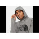 Sweat Homme Capuche TEKNO LOGO The North Face