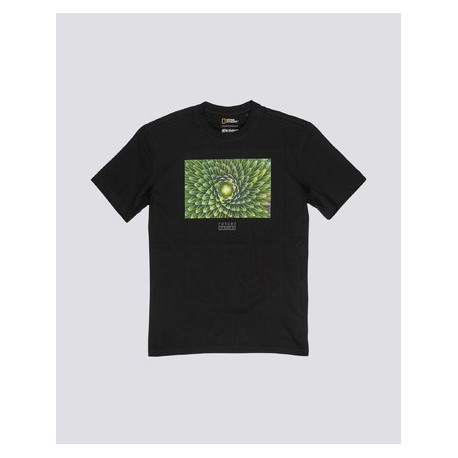 T Shirt Homme NATIONAL GEOGRAPHIC SPIRAL Element