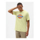 T-Shirt H omme Icon Logo Dickies