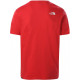 T Shirt Homme NATURAL WONDERS The north face