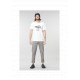 T-shirt Homme D&S FLYING TEE Picture