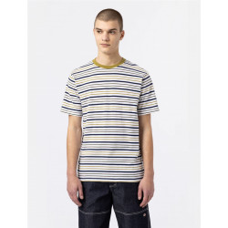 T-shirt Homme "Brothell Stripe Tee" DICKIES