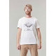 T Shirt Homme D&S PREVO Picture