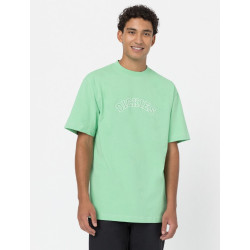T-shirt Homme West Vale DICKIES