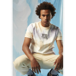 T Shirt Homme SOMERSET Picture